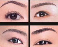 種植眉毛大概需要多少錢啊