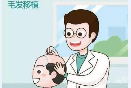 fut植發(fā),怎么樣