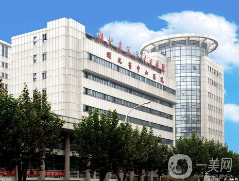 湖北省中山醫(yī)院整形科價(jià)格表完整版本公布出爐