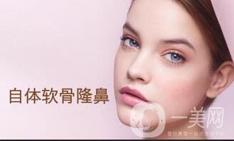 上海自軟體隆鼻多少錢(qián)