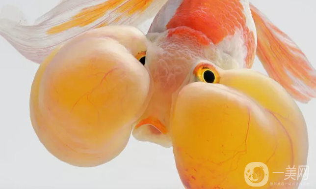 腫泡眼雙眼皮修復(fù)價格 