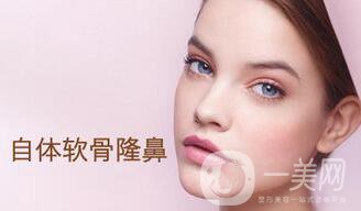 自體軟骨隆鼻術價位