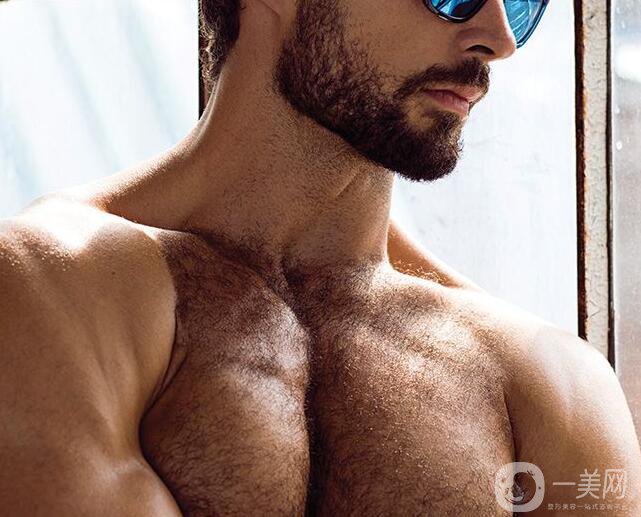 種植胸毛價格貴不貴