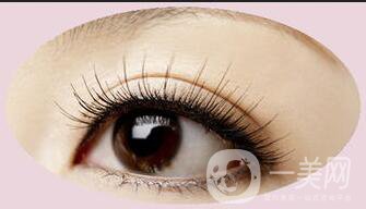 半*美瞳線價(jià)格