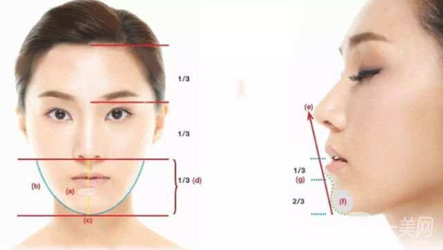 墊下巴注意事項,墊下巴的材料有哪些