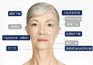 *生物除皺價格是多少 *果怎么樣