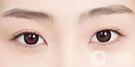 秀眉多少錢 價格詳解