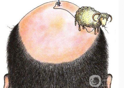 過早脫發(fā)如何調(diào)節(jié) 調(diào)節(jié)脫發(fā)哪種方比較好?