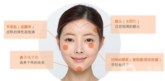 自體脂肪填充臉,價(jià)格