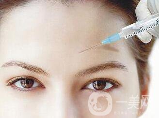 瑞蘭2號(hào)多少錢一支