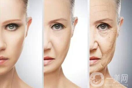 熱瑪吉多少錢呢