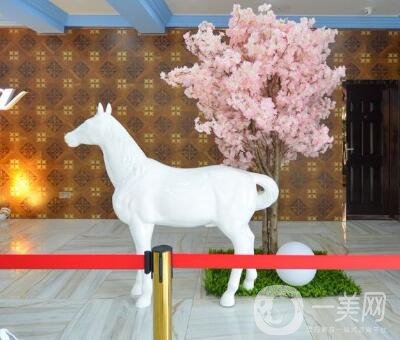 鹽城大豐維多利亞整形價格表2020新版鉅惠來襲