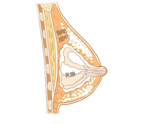 天津醫(yī)科大學(xué)總醫(yī)院整形科價格表和隆胸案例*新版一覽